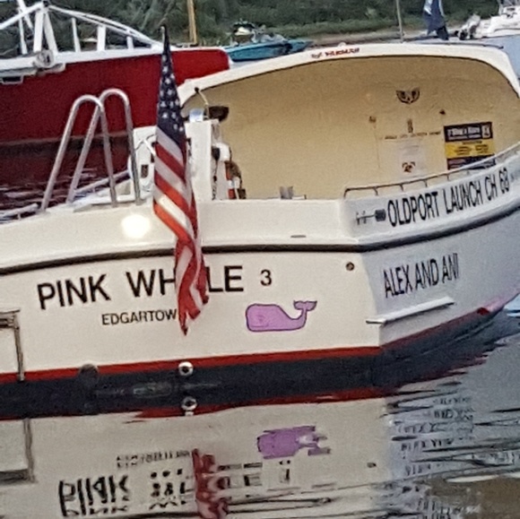 Meet your Posher, Vicki - Picture 1 of 1